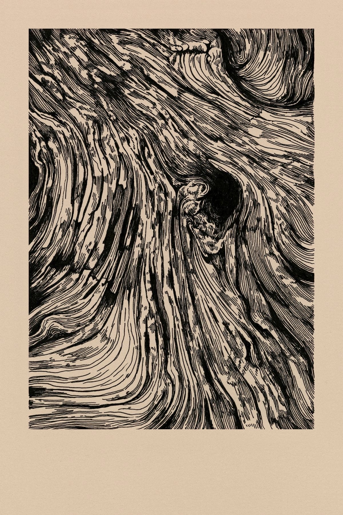 n°06//Calibration