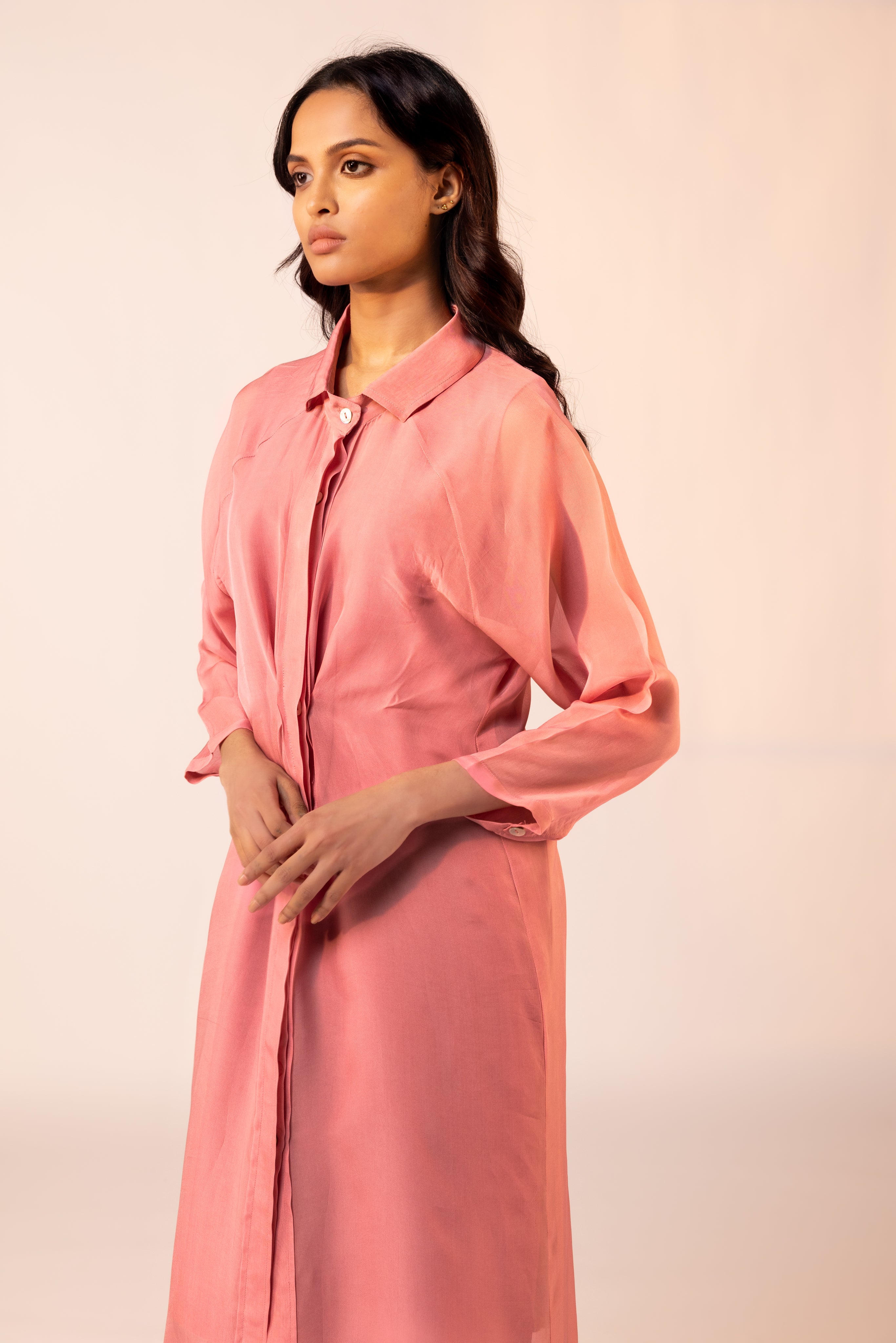 Rose Sheer Dress-BENNCH